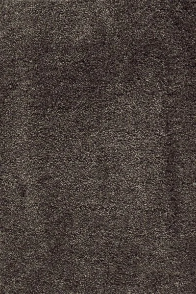 Ковровое покрытие AW Fedone 44 - (5м) в Уфе