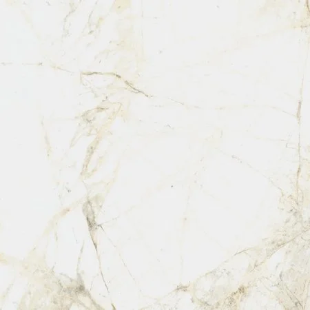 Керамогранит Coliseum Канова Уайт 60х60 (Натуральный и Реттифицированный) в Уфе