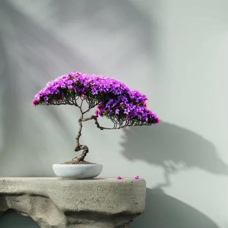 Обои Loymina Lotus LOT1 112 в Уфе