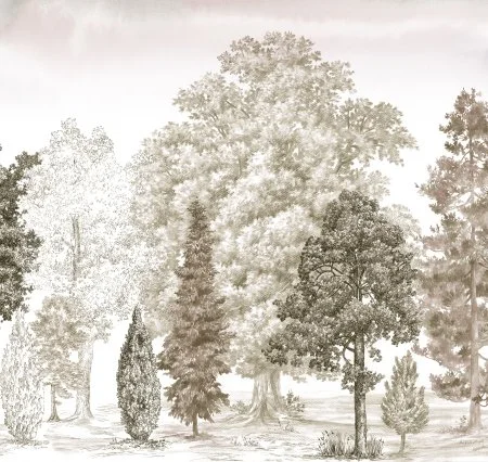 Обои Loymina Пейзаж vol. 2 ART14 012 в Уфе