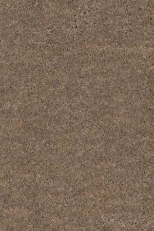 Ковровое покрытие AW Euphoria 36 - (4м) в Уфе