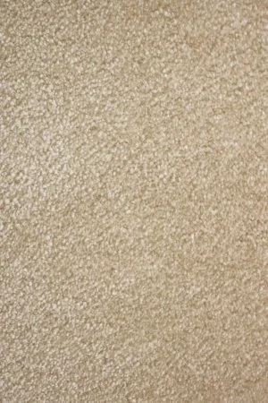 Ковровое покрытие AW Euphoria 33 - (5м) в Уфе