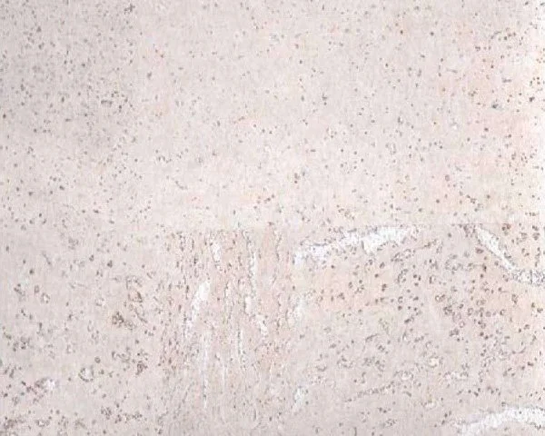 Настенное пробковое покрытие CorkArt PW 386 WS в Уфе