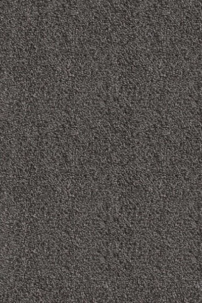 Ковровое покрытие AW Messalina 99 - (5м) в Уфе