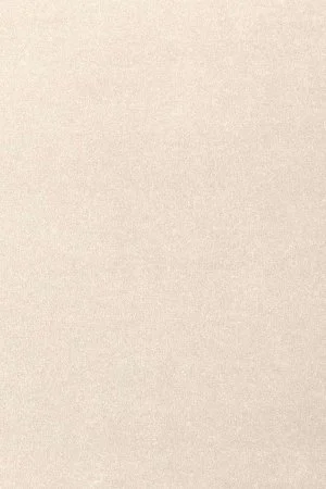 Ковровое покрытие AW Oinone 03 - (4м) в Уфе