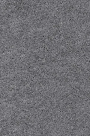 Ковровое покрытие AW Euphoria 95 - (5м) в Уфе