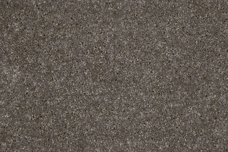 Ковровое покрытие AW Gala 49 - (5м) в Уфе