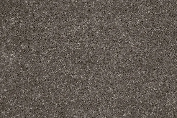 Ковровое покрытие AW Gala 49 - (4м) в Уфе