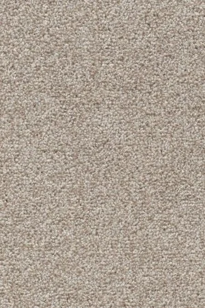 Ковровое покрытие AW Stainguard Harvest 04 - (4м) в Уфе