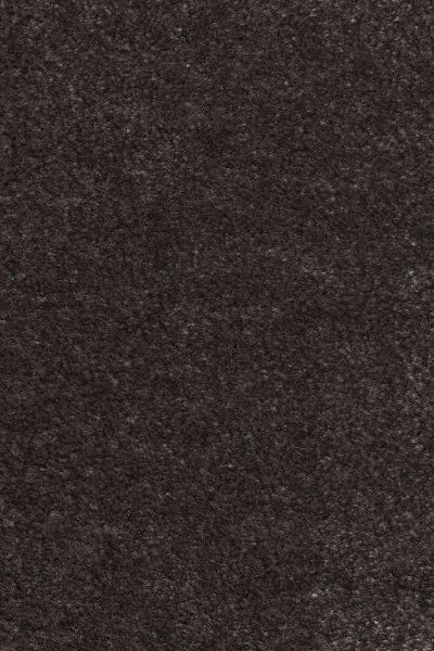 Ковровое покрытие AW Euphoria 43 - (4м) в Уфе