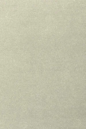 Ковровое покрытие AW Oinone 02 - (5м) в Уфе