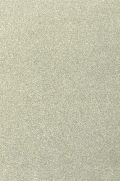 Ковровое покрытие AW Oinone 02 - (4м) в Уфе