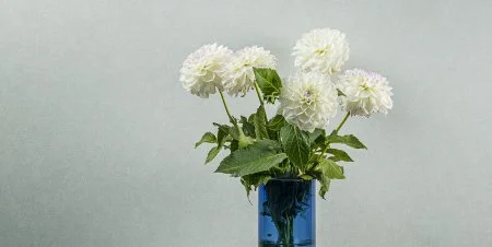 Обои Loymina Shade vol.2 SDR5, 001 в Уфе