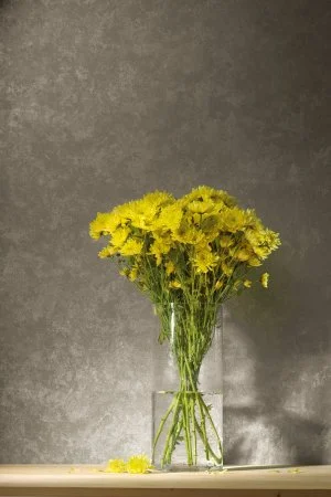 Обои Loymina Golden Library TDG 7, 008 в Уфе