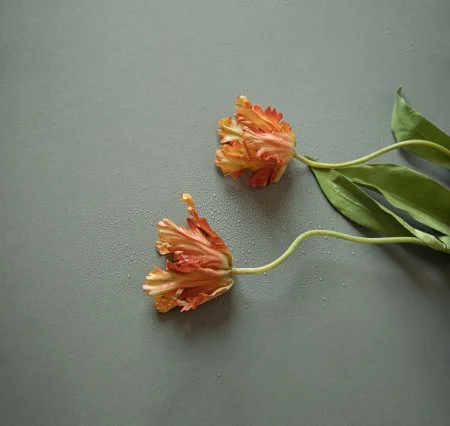 Обои Loymina Russian Classic Ru10, 006 в Уфе