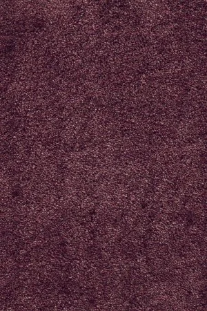 Ковровое покрытие AW Fedone 19 - (5м) в Уфе