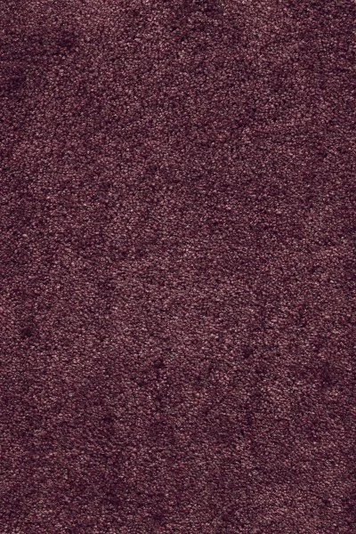 Ковровое покрытие AW Fedone 19 - (5м) в Уфе