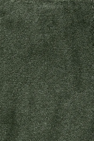 Ковровое покрытие AW Fedone 24 - (5м) в Уфе