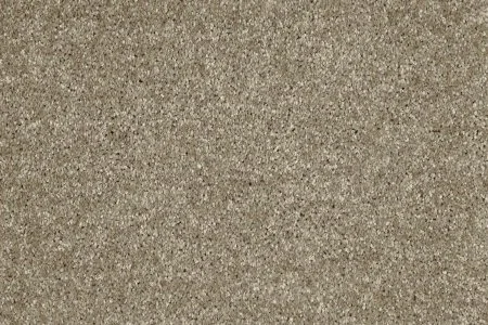 Ковровое покрытие AW Gala 33 - (5м) в Уфе