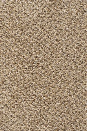 Ковровое покрытие AW Stainaway Tweed 50 - (4м) в Уфе