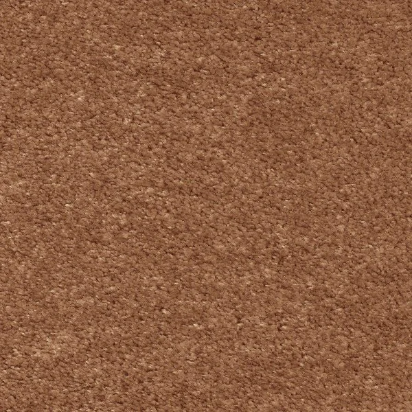 Ковровое покрытие AW Euphoria 84 - (5м) в Уфе