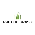 Искусственная трава Prettie Grass купить в Уфе по выгодной цене Искусственная трава Prettie Grass в Уфе