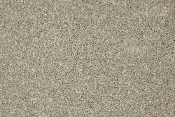 Ковровое покрытие AW Gala 03 - (4м) в Уфе