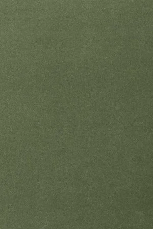 Ковровое покрытие AW Oinone 24 - (5м) в Уфе