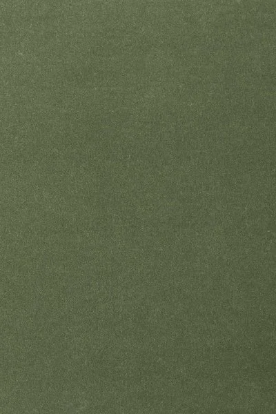 Ковровое покрытие AW Oinone 24 - (4м) в Уфе