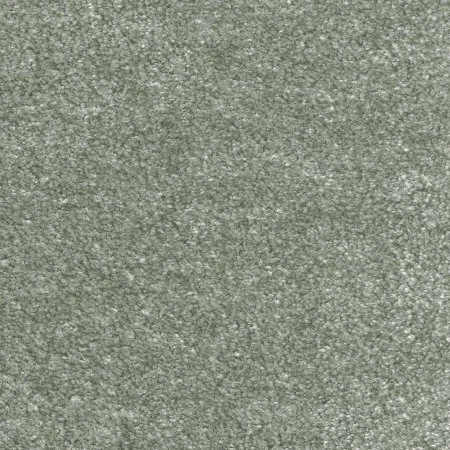 Ковровое покрытие AW Euphoria 28 - (5м) в Уфе