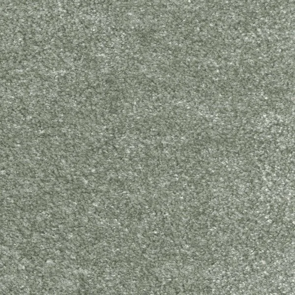 Ковровое покрытие AW Euphoria 28 - (5м) в Уфе