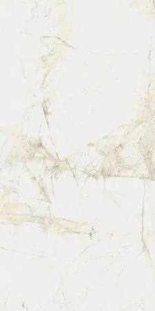 Керамогранит Coliseum Канова Уайт 60х120 (Натуральный и Реттифицированный) в Уфе