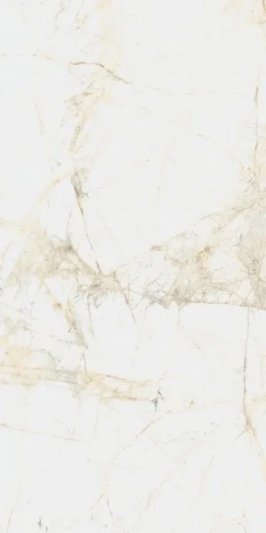 Керамогранит Coliseum Канова Уайт 60х120 (Натуральный и Реттифицированный) в Уфе