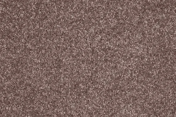 Ковровое покрытие AW Gala 60 - (5м) в Уфе